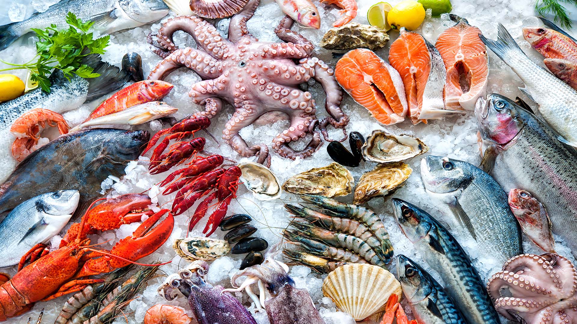Prepara ottimi piatti con Mare Azzurro